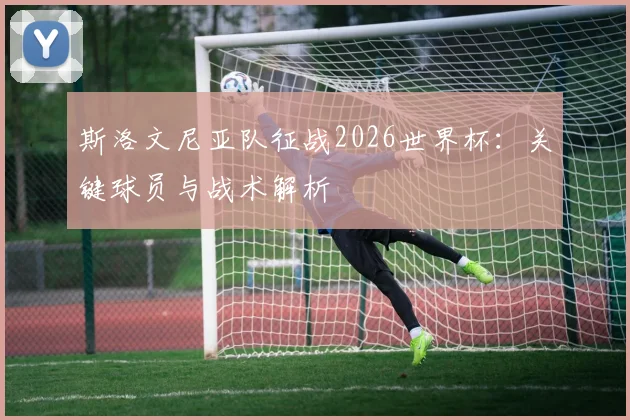 斯洛文尼亚队征战2026世界杯：关键球员与战术解析
