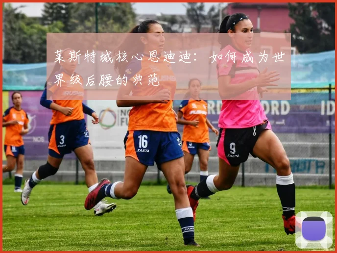 莱斯特城核心恩迪迪：如何成为世界级后腰的典范