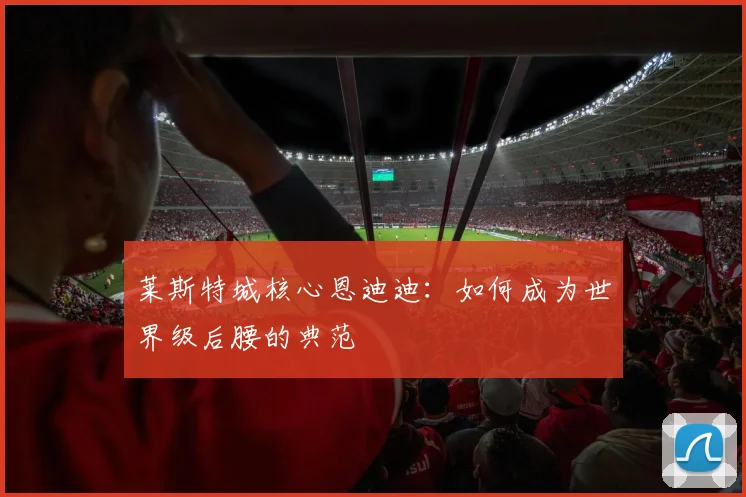 莱斯特城核心恩迪迪：如何成为世界级后腰的典范